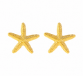 Starfish Pendant Necklace/Earrings Set